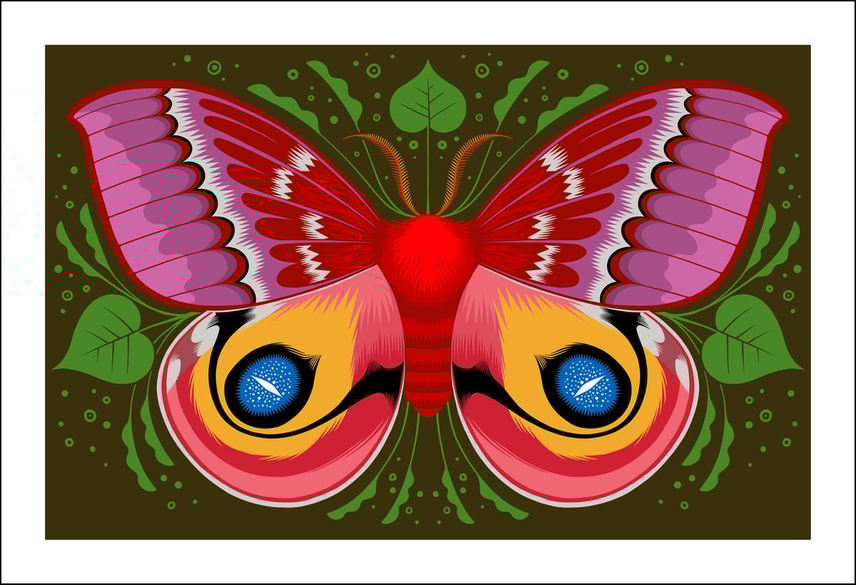 Image of Io Moth Print