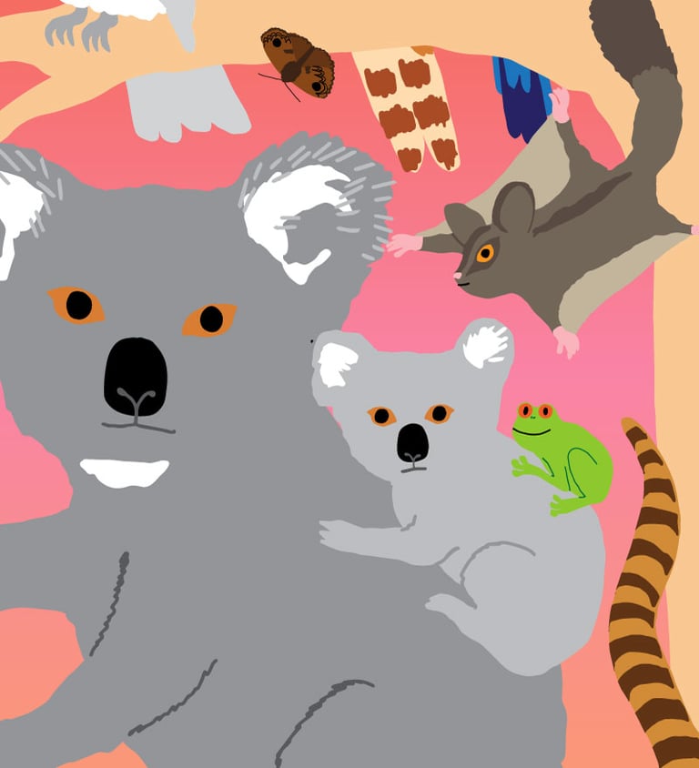 Australian Fauna - bushfire relief poster Image 4