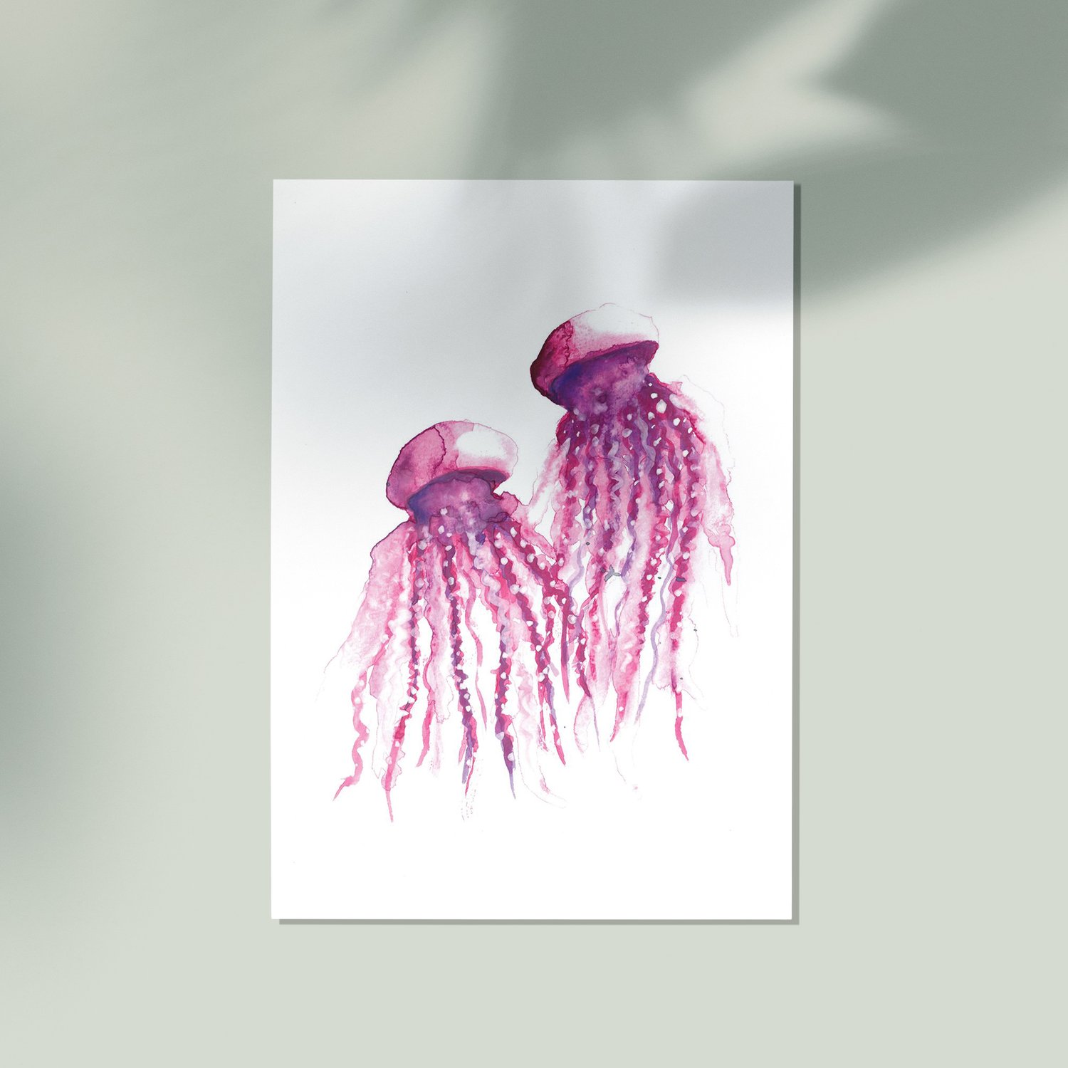 Image of Jellyfish
