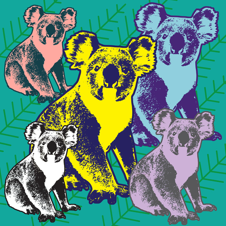Image of Koala Print