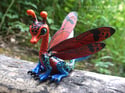 Strawberry Poison Dart Dragon-Fly
