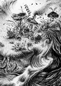 Image 4 of Aisling II - Print