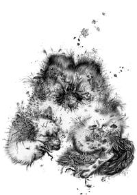 Image 1 of Aisling II - Print