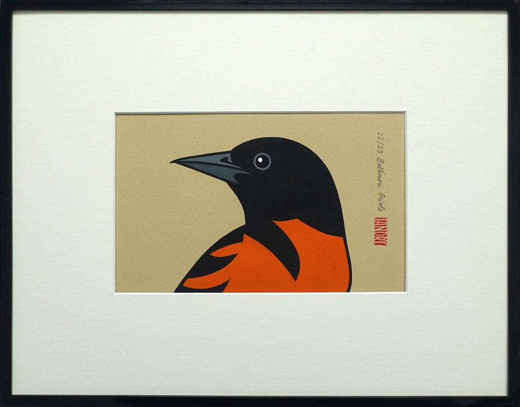 Image of Baltimore Oriole