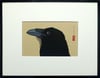 Raven