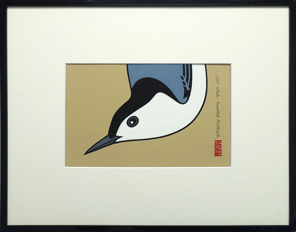 Image of White-Breasted Nuthatch