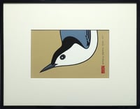 White-Breasted Nuthatch