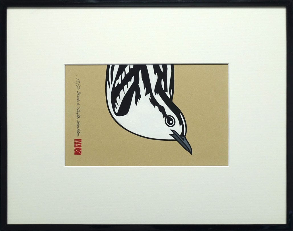 Image of Black-&-White Warbler