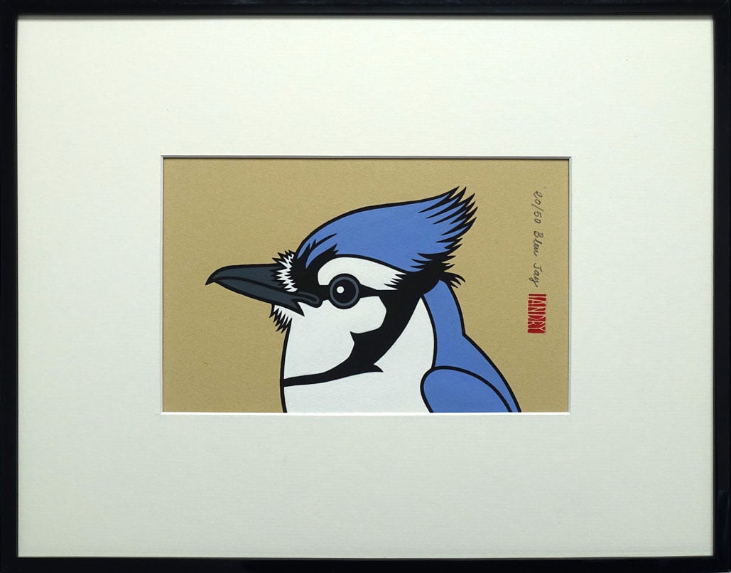 Image of Blue Jay