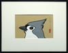 Tufted Titmouse