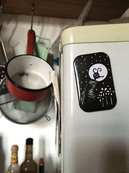 Image of Flyboy fridge magnet