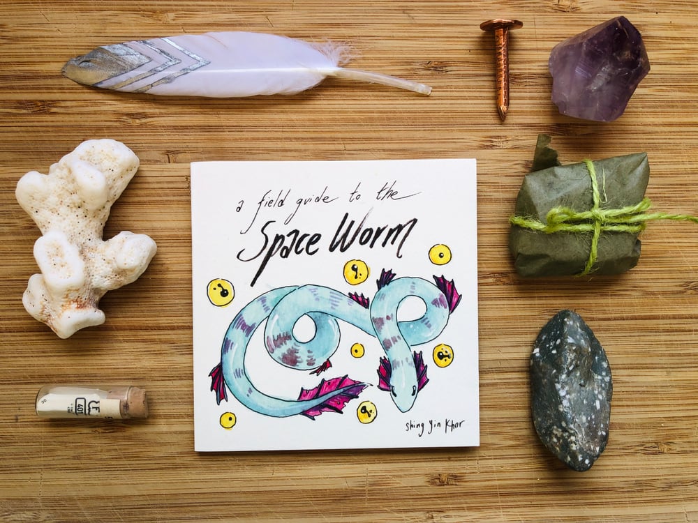 Image of A Field Guide to the Space Worm