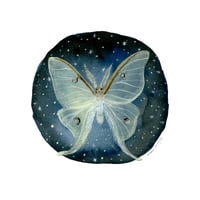 Luna Moth - 9 x 9 inch Glow-in-the-Dark Archival Inkjet (Giclée) Print
