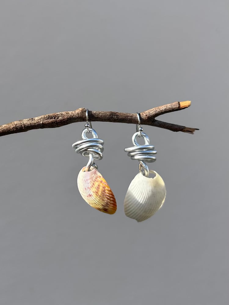 Image of ✧Sunset Shell Earrings