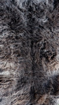 Image 3 of Harting Black Sheepskin #3