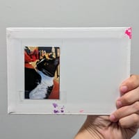 Image 6 of Cat paintings!