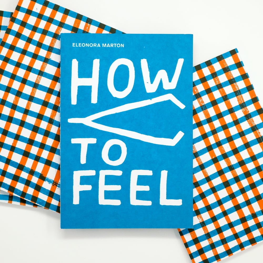 Image of How to Feel