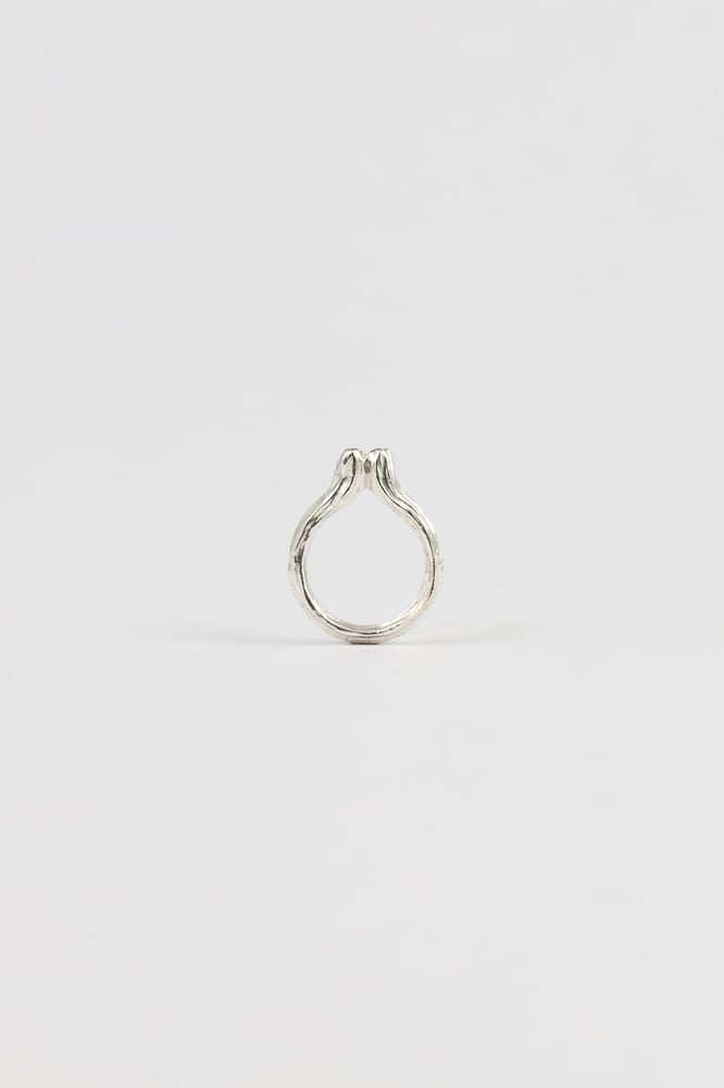 Image of cereus ring