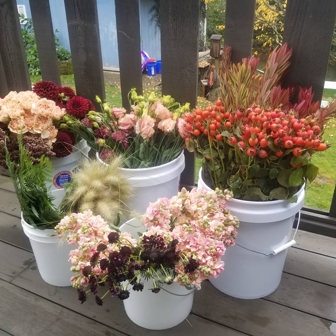 Image of DIY Flower Bucket - Offered June - October