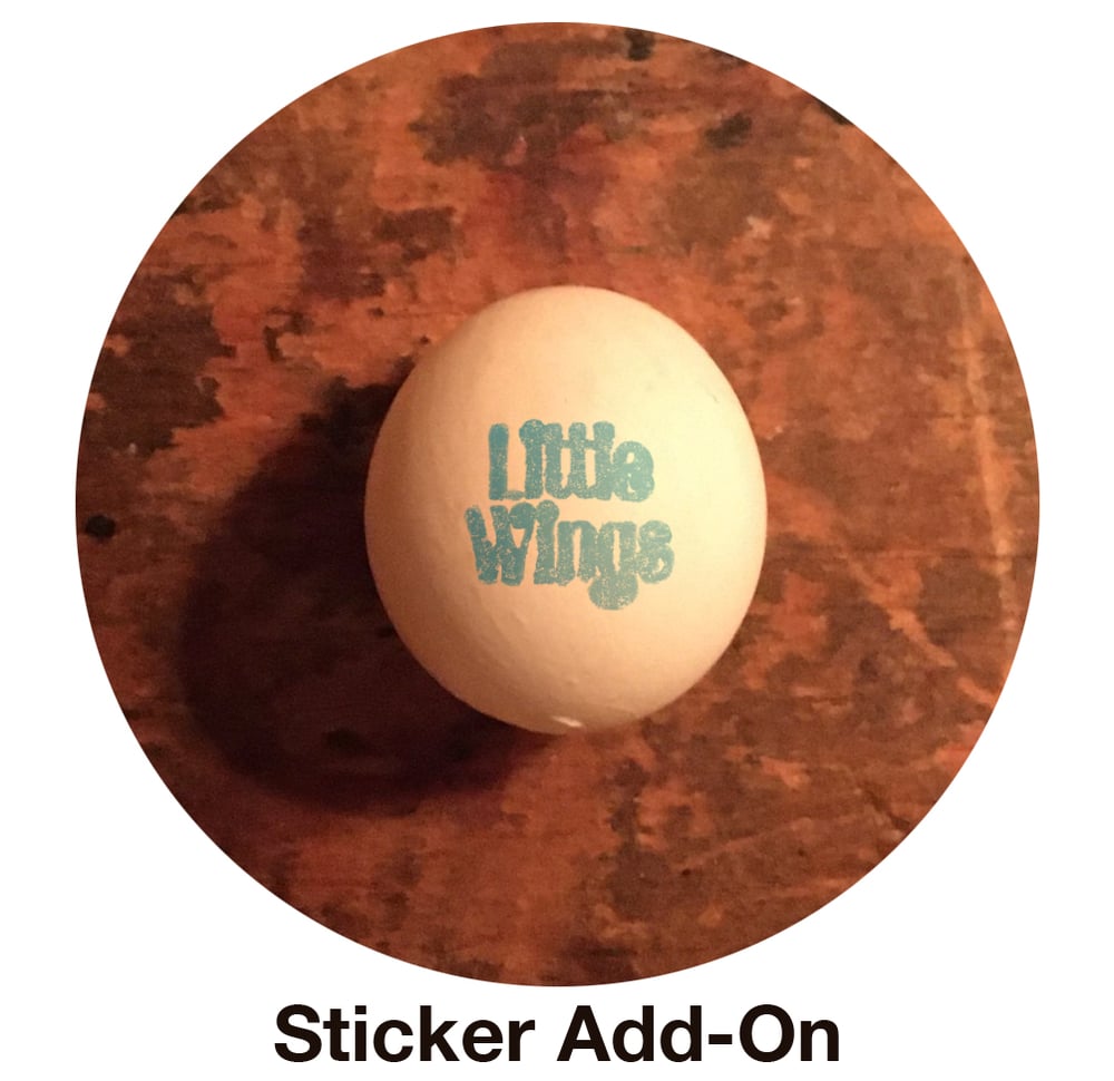 "Rosy's Own" Cassette by Little Wings