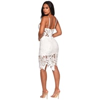 Image 2 of Lilly