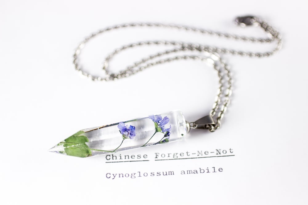 Image of Chinese Forget-Me-Not (Cynoglossum amabile) - Medium Crystalline Pendant #2