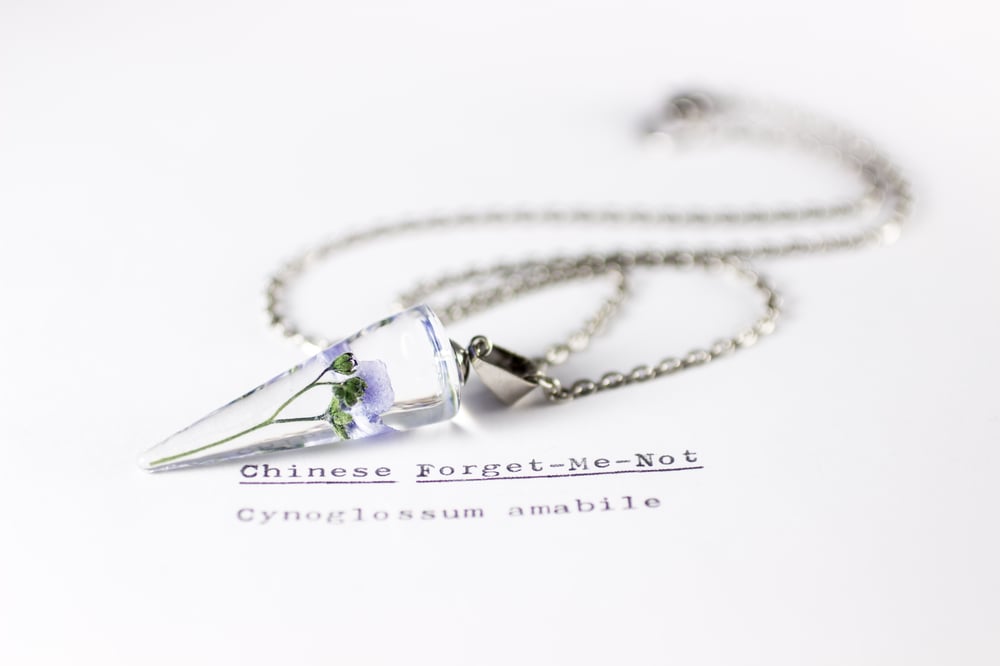 Image of Chinese Forget-Me-Not (Cynoglossum amabile) - Conical Pendant #1