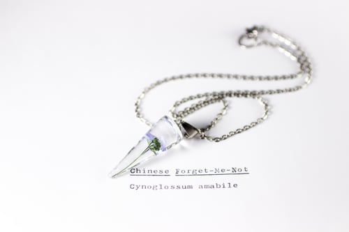 Image of Chinese Forget-Me-Not (Cynoglossum amabile) - Conical Pendant #1