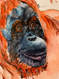 Image 2 of Orangutan - WWF Wildlife Collection