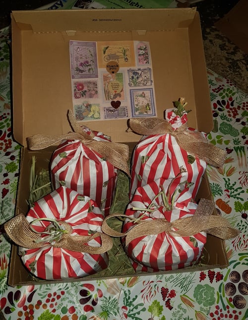 Image of Dollys Shake and reward bag