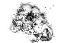 Image 1 of Aisling - Print