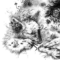 Image 2 of Aisling - Print