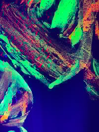 Image 2 of Neon Tigress