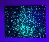 Image 1 of Green splattered stars