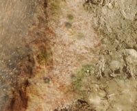 Image 2 of Muddy River -- 4' by 6' plus -- #870