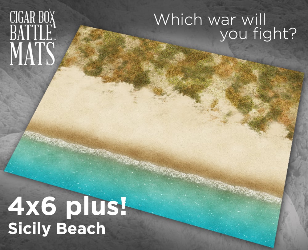 Image of Sicily Beach -- 4' x 6' plus -- #890