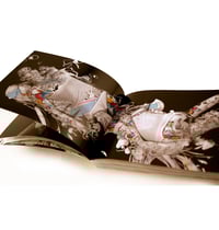 Image 3 of GRAFUCK VOLUME 3 LIMITED EDITION OUT OF PRINT EROTIC ART BOOK