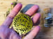 Image of Yes/No Coin