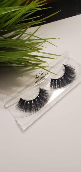 Image of Le dragon Noir