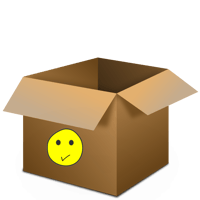 Mystery Valid Box 