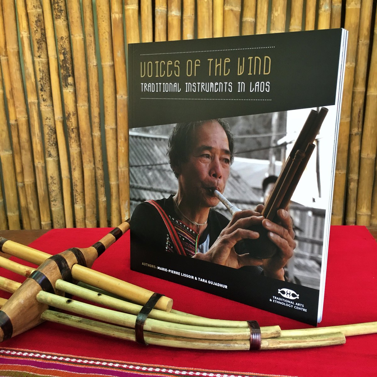 Image of "Voices of the Wind: Traditional Instruments in Laos"