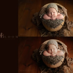 Image of bloom collection | ACR & LR CC presets