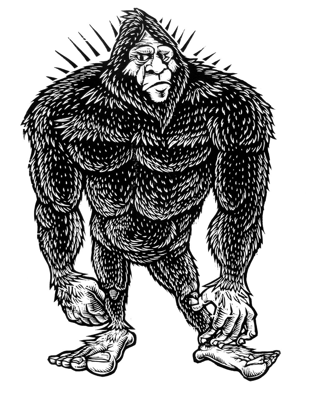 Bigfoot T-shirt (A1) **FREE SHIPPING**