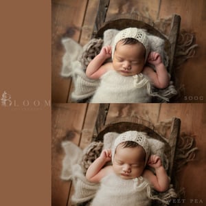 Image of bloom collection | ACR & LR CC presets