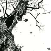 Image 4 of Fairy Tree - Print