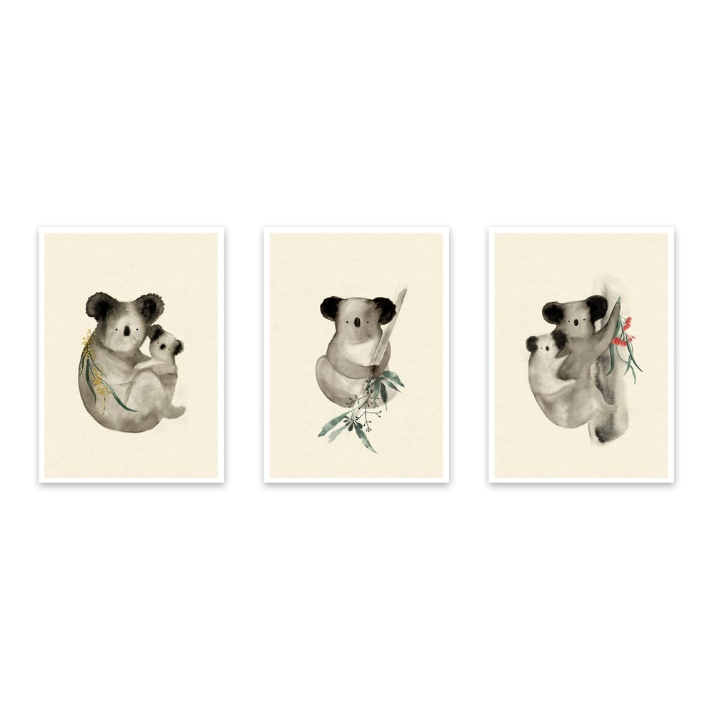 Image of Set of 3 Koala prints
