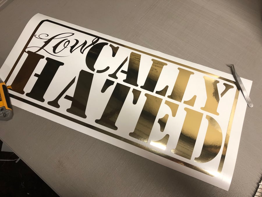 Image of 22x10 Lowcally Hated decal 