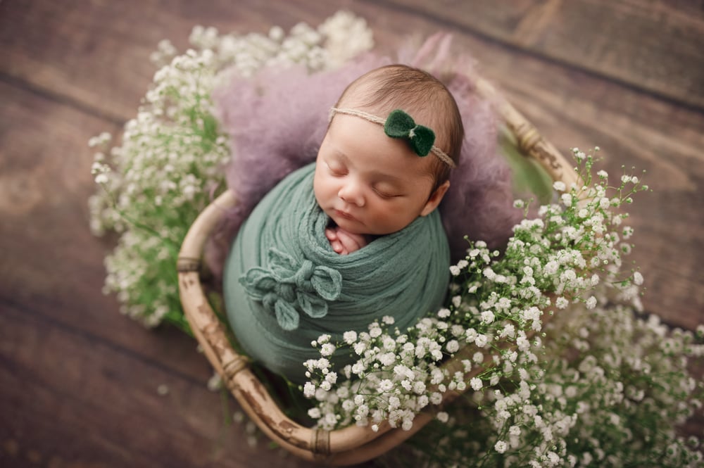 Image of Felted wool bow headband 