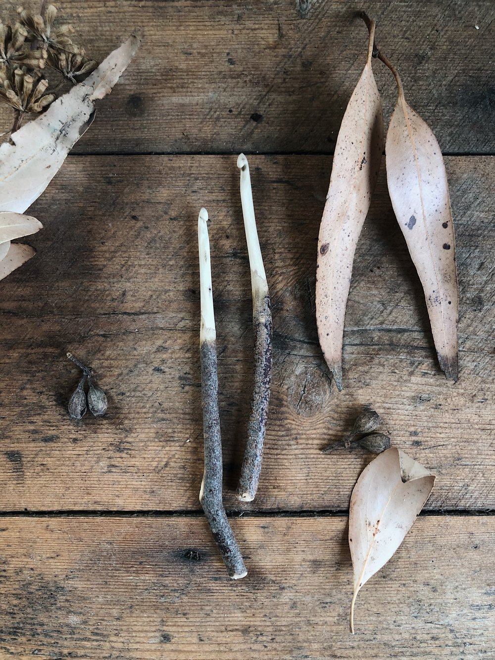 Image of size 5mm Australian Gum branch hand carved 'Bush Hook'