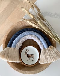 Image 3 of Peter Rabbit Collection  